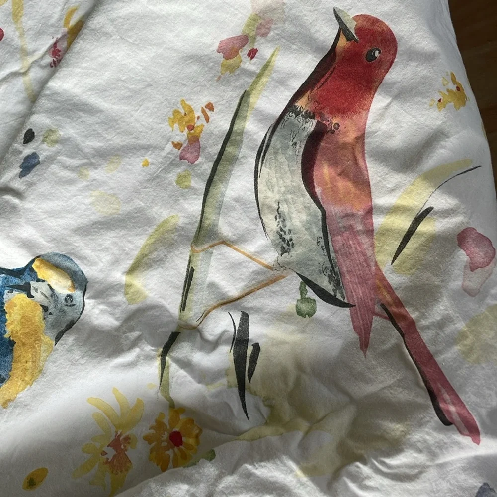 Pottery Barn Painterly Bird Duvet Cover full/queen